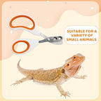 Premium stainless steel pet grooming clippers angled edge perspective