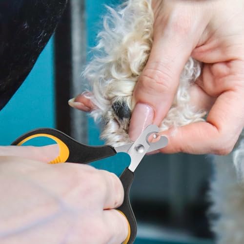 Gonicc Gjinxi hamster nail clipper precise angled blade tool