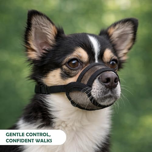 Dog wearing Ohnso black air mesh muzzle for safety