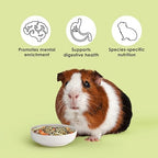 Close up of timothy hay and natural fruit pieces in Kaytee pet food