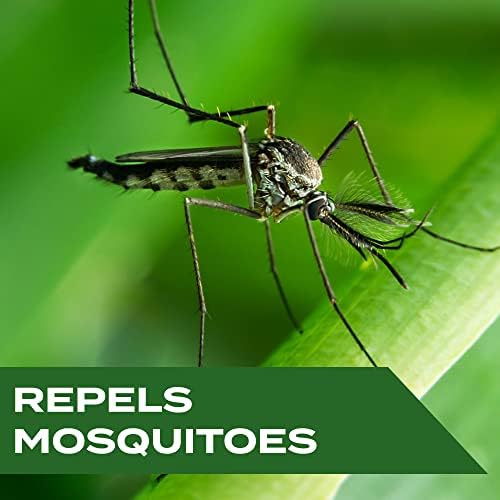 Stem plant-based mosquito repellent spray bottle detail