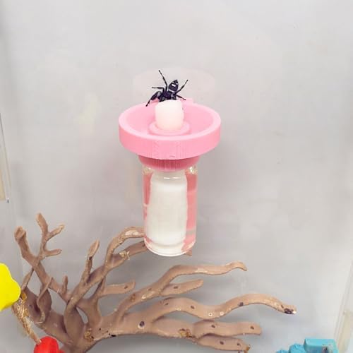 Jumping Spider Water Dispenser, Magnetic Hanging Feeder,Suitable for Jumping Spiders,Tarantulas, Praying Mantises,Arboreal Animals, and Other Small Animal Enclosure Accessories (Pink, 5ML) - Image 2