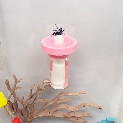 Jumping Spider Water Dispenser, Magnetic Hanging Feeder,Suitable for Jumping Spiders,Tarantulas, Praying Mantises,Arboreal Animals, and Other Small Animal Enclosure Accessories (Pink, 5ML) - Image 2