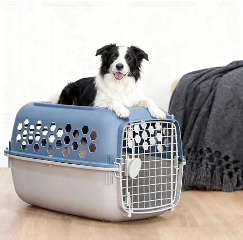 Ergonomic grey carrying handle on the top of the blue pet kennel