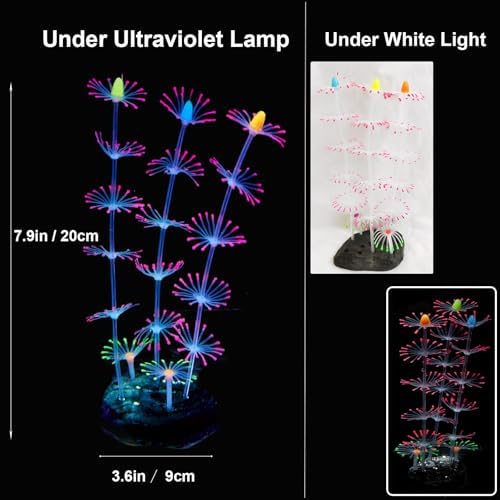 Aquarium landscaping layout featuring glowing sea anemone and lotus coral decorations.