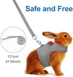 Back view of the Barn Eleven rabbit vest harness emphasizing the durable metal ring leash attachment.
