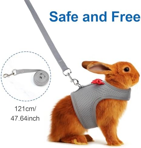 Back view of the Barn Eleven rabbit vest harness emphasizing the durable metal ring leash attachment.