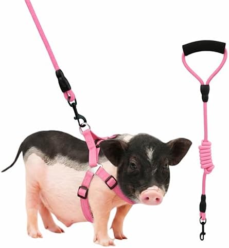 Adjustable potbelly pig harness with soft foam handle lead close up view.