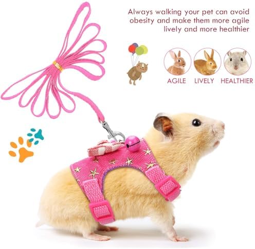 Satinior small pet walking vest styled with accessories