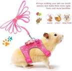 Satinior small pet walking vest styled with accessories