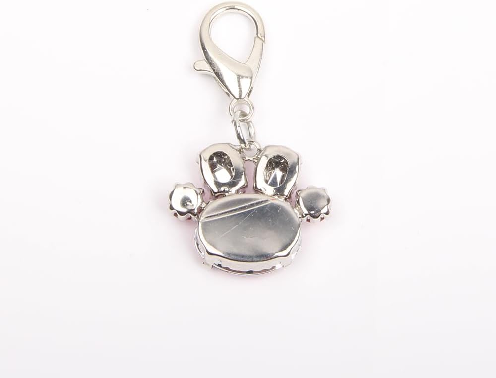 Lobster claw clasp detail on rhinestone dog collar charm