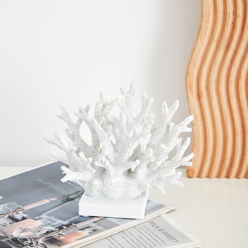Ottalent coastal style white reef decoration styled inside an ocean themed cabinet