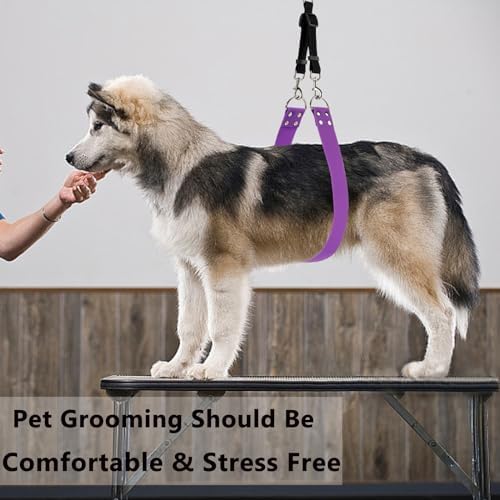 Discpetsec grooming equipment for safe dog bathing