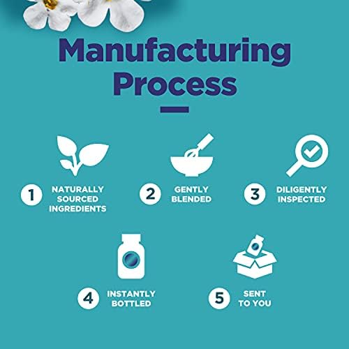 Phytoral nootropic brain supplement lifestyle product view