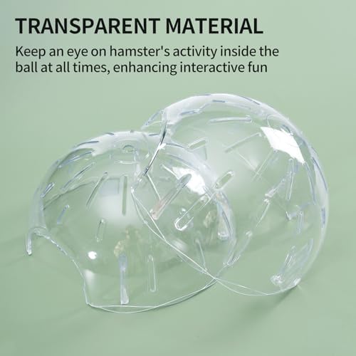 Transparent dwarf hamster activity ball placed on a flat floor ready for exercise