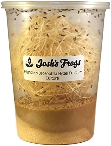 Josh's Frogs flightless black drosophila hydei fruit fly culture container front view