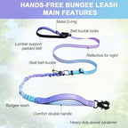 Hands free dog leash showing car seat belt clip
