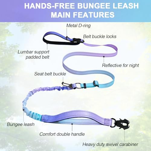 Hands free dog leash showing car seat belt clip