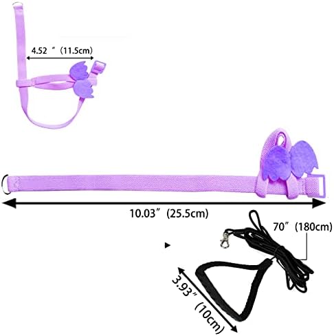 Complete Dnoifne bird harness and leash set in packaging