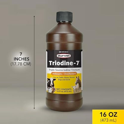 Durvet Triodine-7 antiseptic solution bottle held for scale