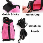 Teleyi nylon pet walking leash attached to a black mesh vest harness