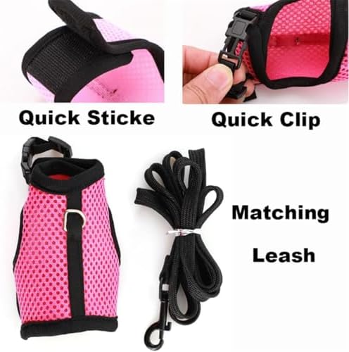 Teleyi nylon pet walking leash attached to a black mesh vest harness