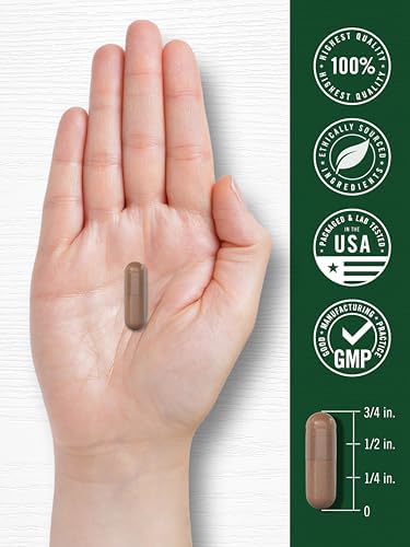 Carlyle antioxidant support Pinus pinaster capsules packaging display