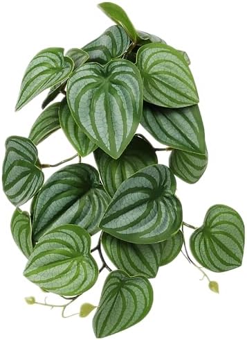 WOLEDOE fake calathea orbifolia hanging vine showing detailed 3D printed leaves