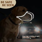 Soft edge mesh muzzle for small dog snouts