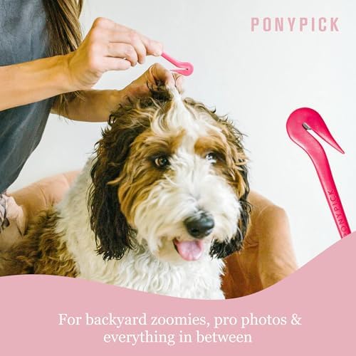 Professional dog grooming tools for top knots and bows