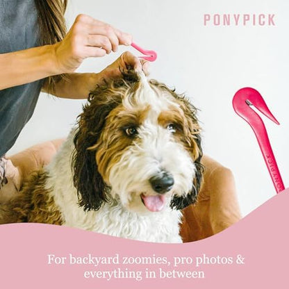 Professional dog grooming tools for top knots and bows
