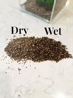 Aqua Natural substrate displayed inside a planted freshwater aquarium setup