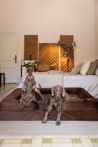 NOAH & PAW Giant Dog Bed XXL, 55x45x11 Inch, Orthopedic Dog Beds, Eggshell Memory Foam Infused with Cooling Gel, Inner Cover, Water Resistant, Machine Washable (Velvet Sofa Collection) - Image 3