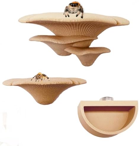2 Pack Jumping Spider Accessories Mushroom Ledges & 1 Pack Water Bowl with Magnets for Spoods Jumping Spiders Magnetic Ledge Ladder Pet Spider Accessories (Not Included The Terrarium) (beige) - Image 2