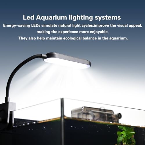 Top view of Zxie-Cloud aquarium kit showing feeding hole lid