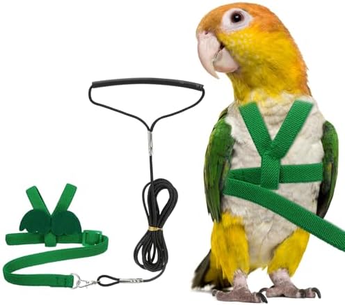 PETAXCELL adjustable pet parrot harness showing the soft latex silk straps and buckles