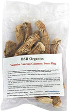 Raw Acorus Calamus rhizome sticks and herbal pieces closeup