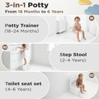 Detachable toilet seat reducer and step stool feature