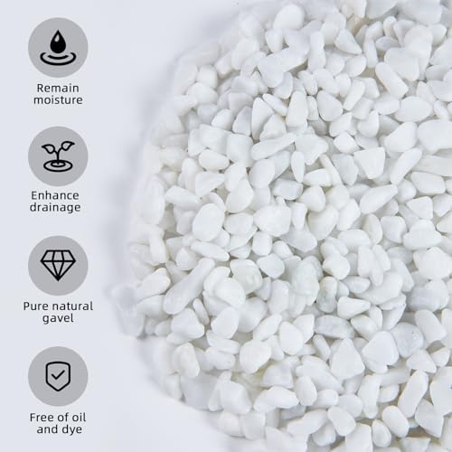 Smooth white river rocks for aquarium substrate