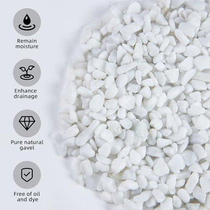 Smooth white river rocks for aquarium substrate