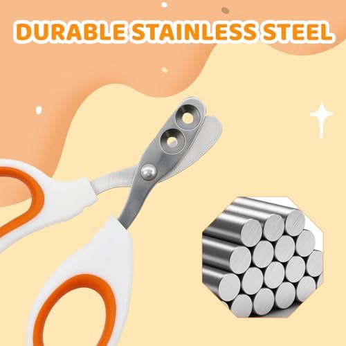 Bearded dragon supplies premium quality claw trimmer for exotic pets