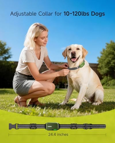 Close up look at the independent channel switching remote screen for multi dog family training