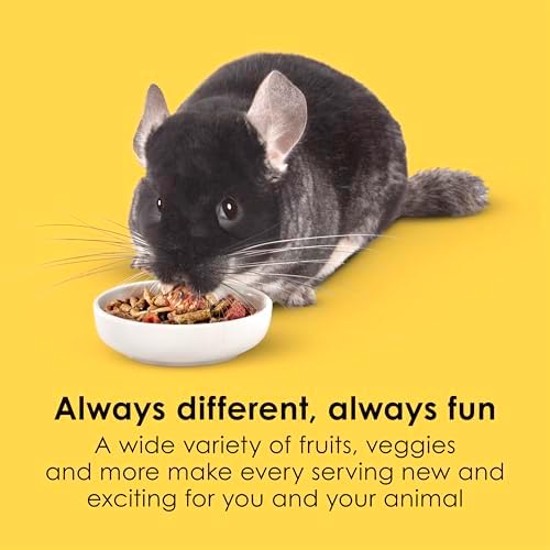 Kaytee Fiesta Chinchilla Food premium gourmet blend texture
