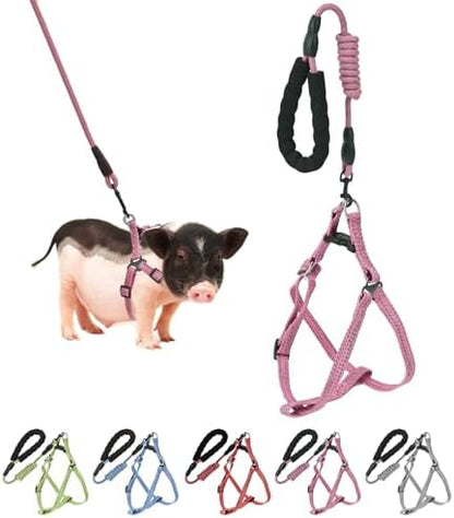 YeeBeny pink infinity style pet pig training lead with black foam handle