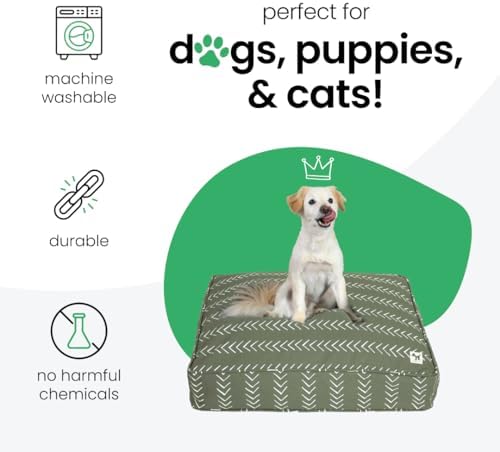 Molly Mutt sustainable pet bed cover stuffed with household clothes