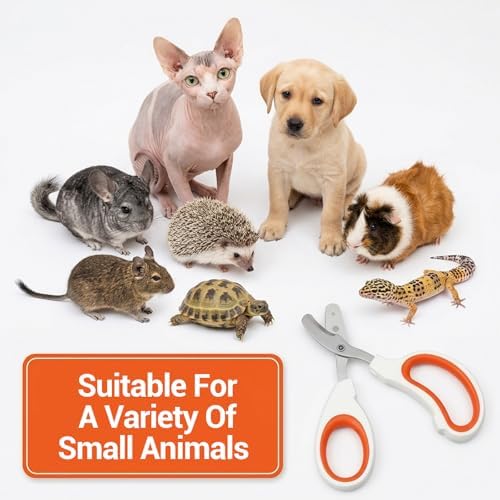Sorcristy pet care tool for safe bearded dragon nail maintenance.
