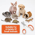 Sorcristy pet care tool for safe bearded dragon nail maintenance.