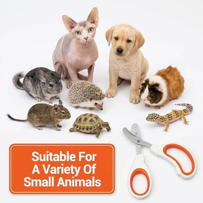 Sorcristy pet care tool for safe bearded dragon nail maintenance.