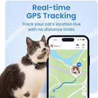 Side profile of Tractive GPS tracker for cat activity tracking