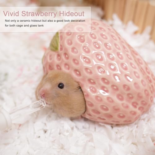 Ceramic Hamster Hideout, Strawberry Hamster House and Habitat, Syrian Hamster Hideout Decor Cool Bed for All Season Gerbil, Mice Guinea Pig - Image 6